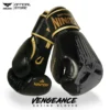 Boxing Gloves Rounin Vengeance - Thumbnail Image 5